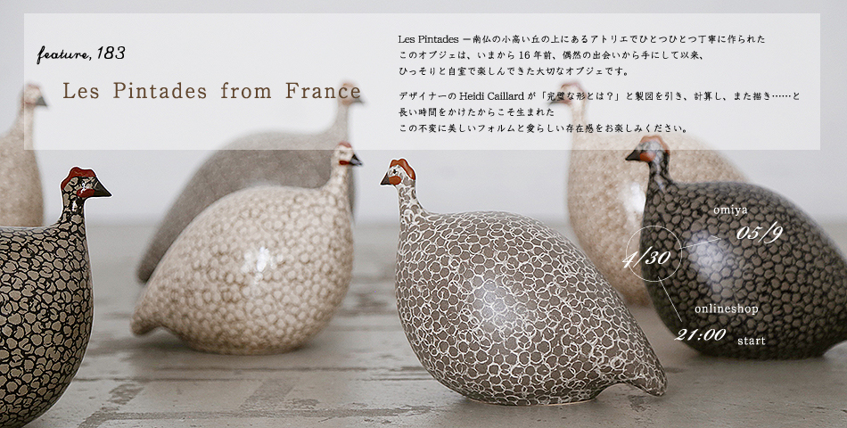 Feature,183「Les Pintades from France」
